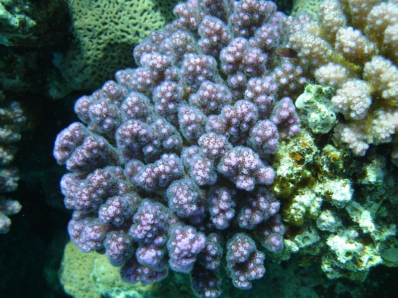 13-03-14 085 Mary.JPG